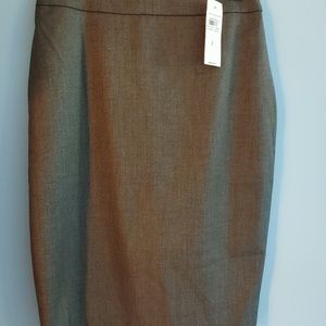 Brand New Ann Taylor Skirt - Curvy Fit Size 2